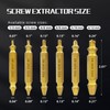 RENYU 6 Pcs Damaged Screw Extractor Kit, HSS 4341 Screw