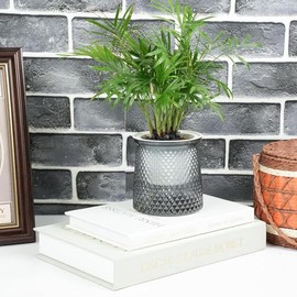Juego de 3 Libros Decorativos de Lujo, Hermosas Cajas de Lino para Decorar la Mesa de Café, Libros Modernos de Tapa Dura Apilados para Exhibición, Caja de Almacenamiento (Salvia Verde+Beige+Blanco)