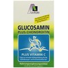 Avitale Glucosamine 500 mg + Chondroitin 400 mg Capsules, Pack