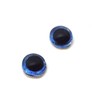 Swordfish Fish Glass Eyes for Jewelry Making, Art Dolls, Taxidermy,