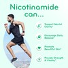 Vitamin B3 Nicotinamide 500mg - High Absorption Form of Vitamin