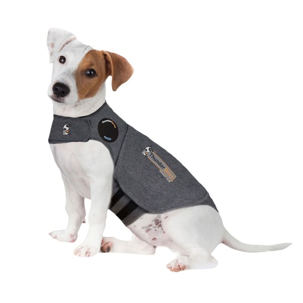 ThunderShirt for Dogs, Small, Heather Gray Classic - Dog Anxiety