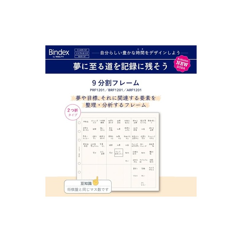 Noritsu Bindex Personal Organizer Refill, Mini 6, 9 Split Frame,