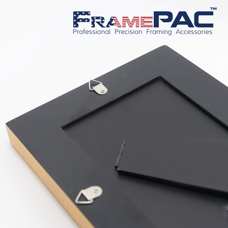 FramePac 100 Pack Picture Hangers with Screws, Small Triangle Ring,