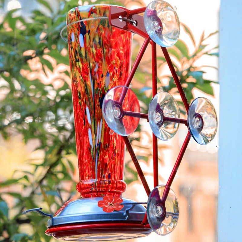 Window Hummingbird Feeder with 5 Strong Suction Cup 16 Ounces
