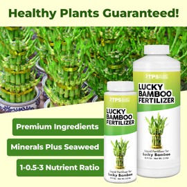 Lucky Bamboo Fertilizer, Complete Liquid Lucky Bamboo Plant Food, 8 oz (250mL)
