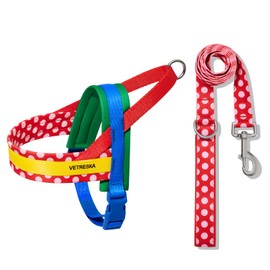 Vetreska CHROMA Pet Harness Set, Lead, Torso, Collar, Red, Yellow, Cute, Stylish, Tricolor, Small, Medium, For Dogs