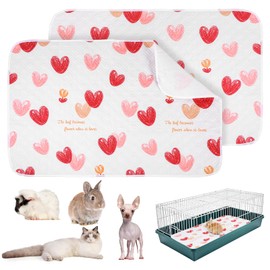 Meyeyaia 2 Pack Colorful Guinea Pig Fleece Cage Liners,47×31 Inches Washable Guinea Pig Cage Liner,Non Slip Reusable Super Absorbent Training Mats for Small Animals Rabbits Hamster