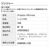 ginger 5ml incent essential oil essential oil