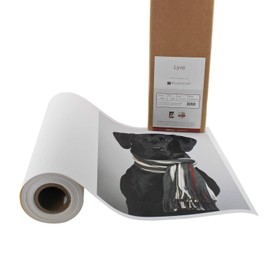Premium Lyve Matte Canvas Paper Perfect For Use on Professional Makes and Models of Epson, Canon and HP printers preferred by Professionals. 19 mil textured Canvas offered in a 36 inch by 40 ft roll