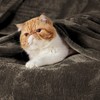 Bedsure GentleSoft Fleece Blankets Queen Size Brown - Bed Blanket