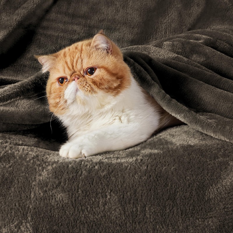 Bedsure GentleSoft Fleece Blankets Queen Size Brown - Bed Blanket