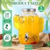 FillTouch 1 Gallon Cactus Drink Dispenser for Parties, 135 oz