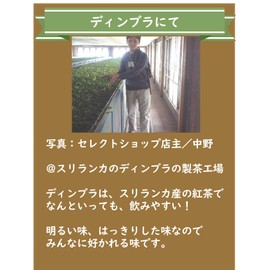 Dinbra Tea Bags 0.06 oz (1.5 g) x 20 Packets ● Tea Specialty Shop Kyoto Select Shop ● Tea Bags 20 Packs