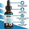 Dr. Bo Lymphatic Support Liquid Drops | USDA Organic Herbal