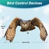 Vicsiyi Owls to Keep Birds Away: 3 Pack Fake Owls