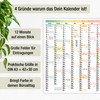 TOBJA A3 Wall Calendar 2026 Year Planner with Large Fields