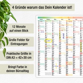 TOBJA A3 Wall Calendar 2026 Year Planner with Large Fields Colourful Design DIN A3 (42 x 29.7 cm) FSC Certified Wall Calendar for Office & Home Office Planner for Appointments & Holidays