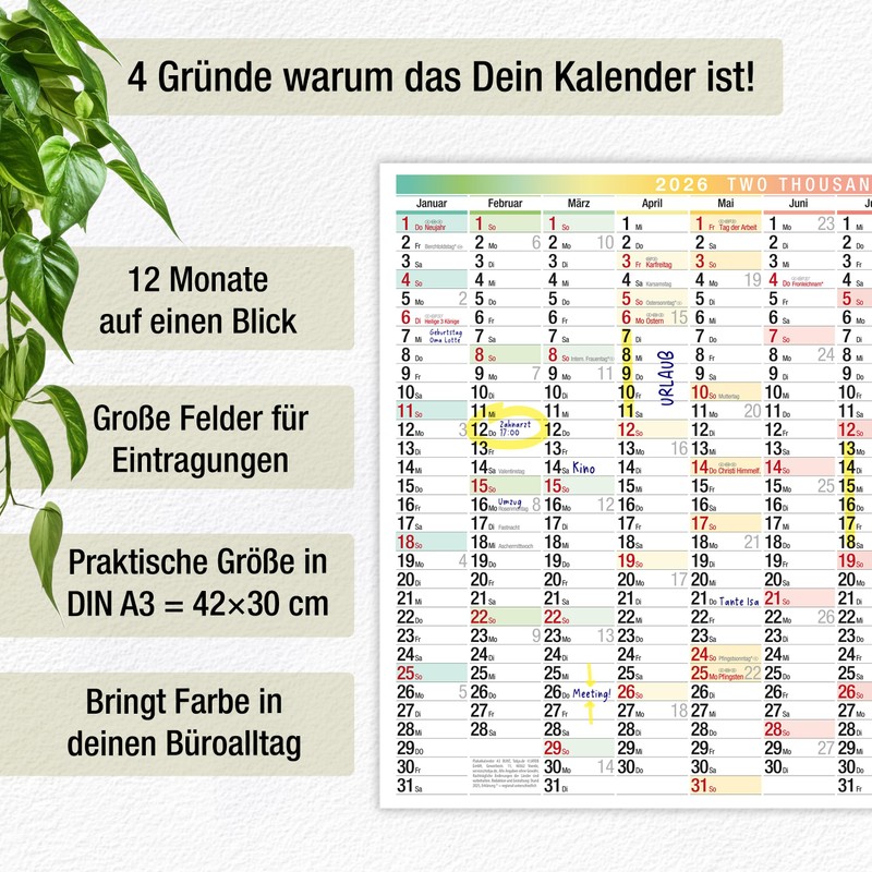 TOBJA A3 Wall Calendar 2026 Year Planner with Large Fields