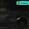 FluffMinds Light Up Rechargable Dog Collar, LED Dog Collar Light