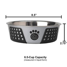 PetRageous 13099 Fiji Stainless Steel Non-Slip Dishwasher Safe Dog Bowl 6.5-Cup Capacity 8.5-inch Diameter 2.75-inch Tall for Large and Extra Large Dogs, Light Gray and Black