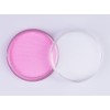 Fengda Fluo Body Paint / Face Paint Neon Pastel Pink
