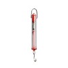 Walter Products P11119 Pull Type Spring Scale (Red)