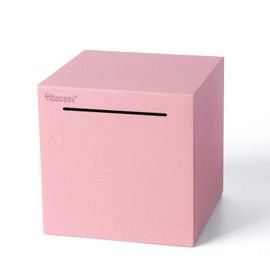 Pink Stainless Steel Piggy Bank, Only Money Can Be Deposited, Can't Open, 4.7 inches (12 cm)