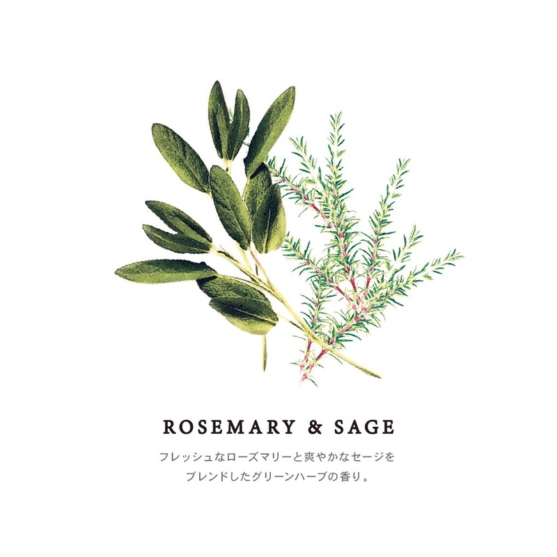 HP Pocket Air Refresher Rosemary & Sage