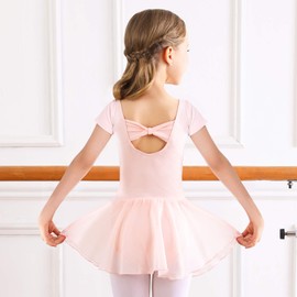 Bezioner Girls Ballet Dance Dress Pink Ballet Outfit Leotard with Skirt for Girls Kids (Pink,Size 8-9Years)