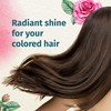 Herbal Essences Ignite My Color Vibrant Color Shampoo with Rose