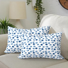 DYTXIII Pack of 2 Outdoor Waterproof Lumbar Pillow Covers ONLY, Rectangle Decorative Double Printed Pillow Cases for Patio Couch Porch Chairs (12 x 20 in,Brush Blue)
