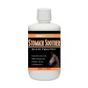 Formula 1 Papaya Stomach Soother 32 oz