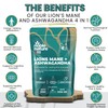 Noble Nature Lion’s Mane & Ashwagandha KSM-66 4-in-1 Adaptogen &