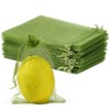 BELEFU Green Mesh Fruit Protection Bags for Fruit Trees, 3.9"