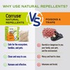 Mouse Rodent Repellent Peppermint Oils: Rate/Spiders/Moths/Ants/Roaches/Silverfish Deterrent - Squirrel Repellent
