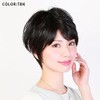 Priscilla A-676 All Wig, Natural Short, Heat Resistant, TBK/Black