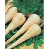 Mr Fothergills Mr. Fothergill's Parsnip Gladiator F1