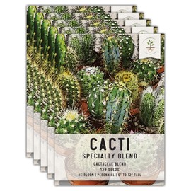 Seed Needs, Mixed Cacti/Cactus Seeds - 130 Seeds for Planting - Great Plants for Indoor Office Spaces, Easy to Grow (5 Packs)