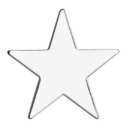 GBJUK Silver Star Pin Lapel Badge with Butterfly Clasp Back