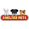 Shelter Pets Series Two: Xena - 10" Grey and White
