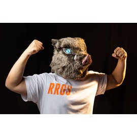 Boar Mask Demon Mask Boar Full Head Mask with Fur, Grey, One Size