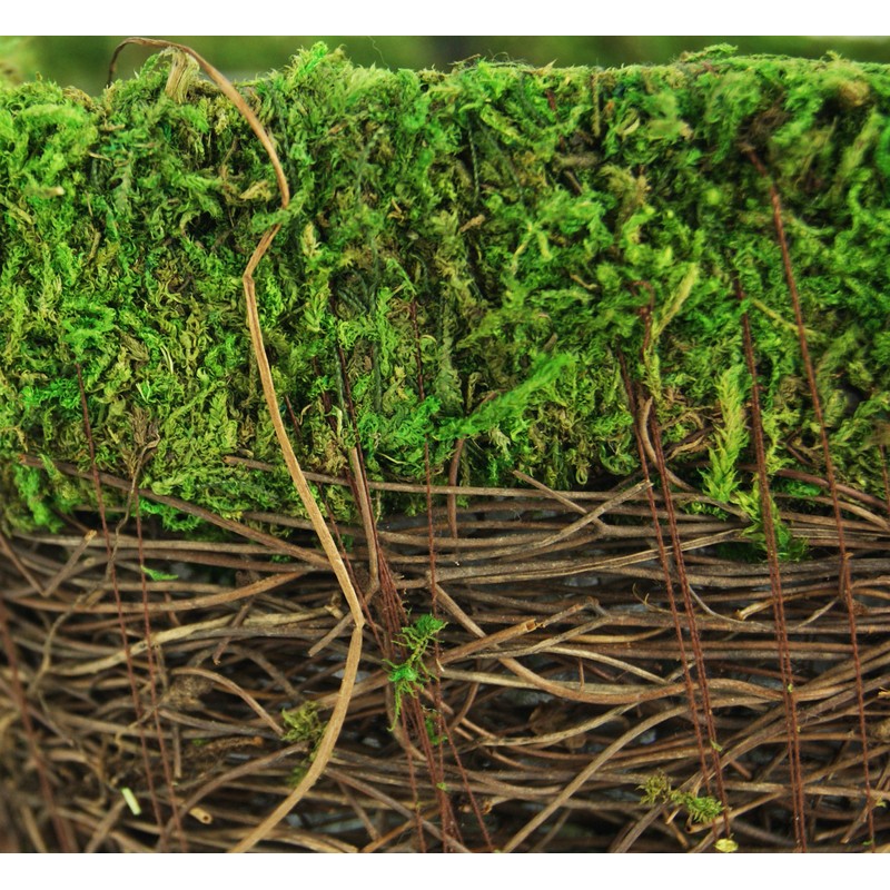 SuperMoss (55071 Ventura, Fresh Green, Small