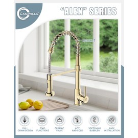 Casavilla Kitchen Faucet, Commercial Kitchen Sink Faucets with Pull Down Sprayer, Stainless Steel Faucets for Kitchen Sinks, Dual Function Spray Head, Single Handle Spring Kitchen Faucets -Gold