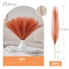 Faylifeway 𝟱𝟬pcs Orange Pampas Grass 𝟭𝟳in, Faux Pampas Grass Home