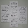 Sample Tip [Handmade Nail Tip] Emily Nail - Short Almond