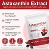 Astaxanthin 12mg Softgels from Microalgae – 120 Capsules – Antioxidant