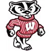 WISCONSIN BUCKY BADGER Mini FOOTBALL HELMET DECALS