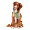 Reddy BFF Dog Bandana Large/X-Large Green