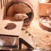 Behogan Hamster Bathroom, Transparent Sand Bath for Hamsters, Sand Bathroom
